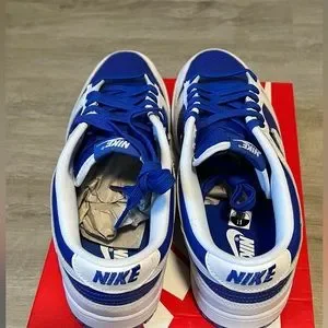 Nike Dunk Low Retro  blue/white mens 11 nwt Nike Dunk Low Retro BTTYS Shoes Men main image 4